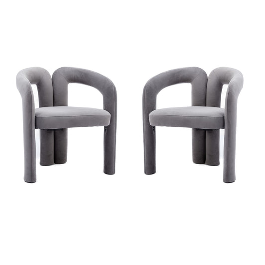 Set of 2 Contemporary Upholstered Accent Chair