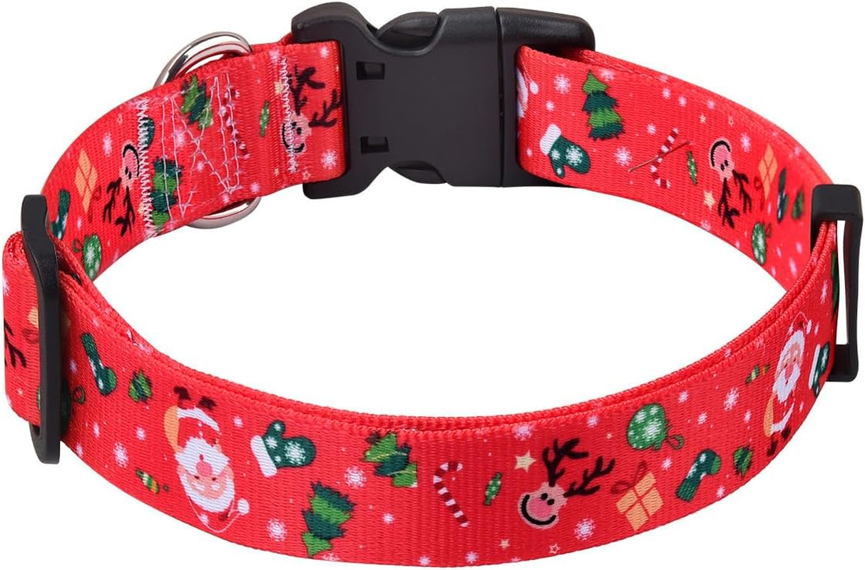 Christmas dog collar - premium...