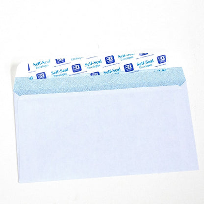 #6 3/4 Self-Seal Security Envelope (55/Pack)