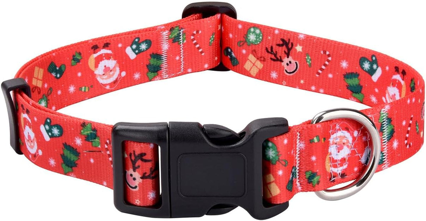 Christmas dog collar - premium...