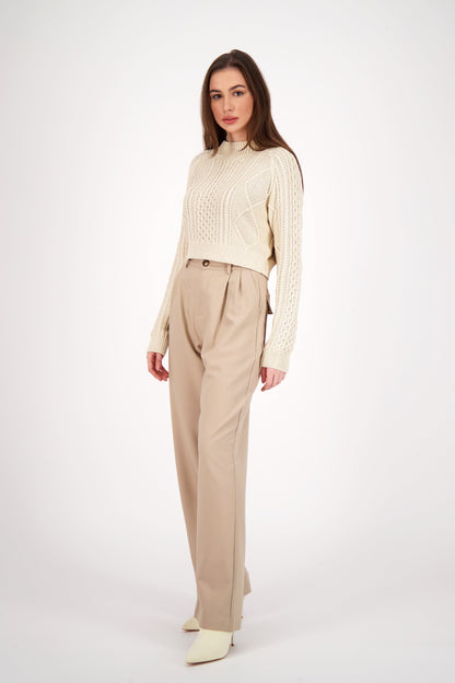 Wide Leg Pleated Pant