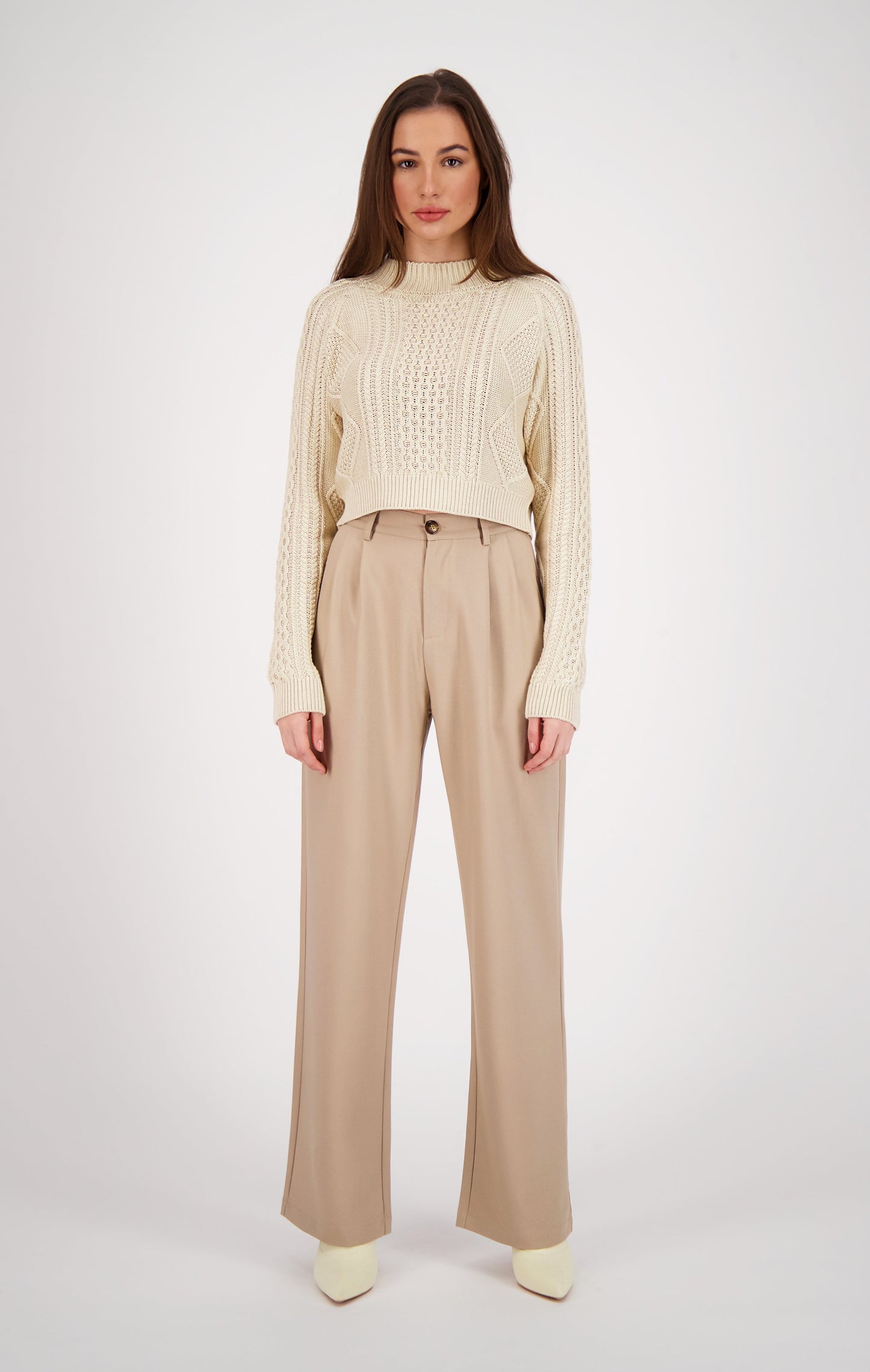 Wide Leg Pleated Pant