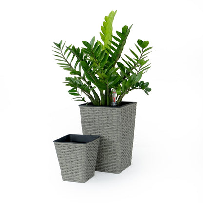 Set of 2 CATLEZA 7-inch and 9.4-inch Square Wicker Planters