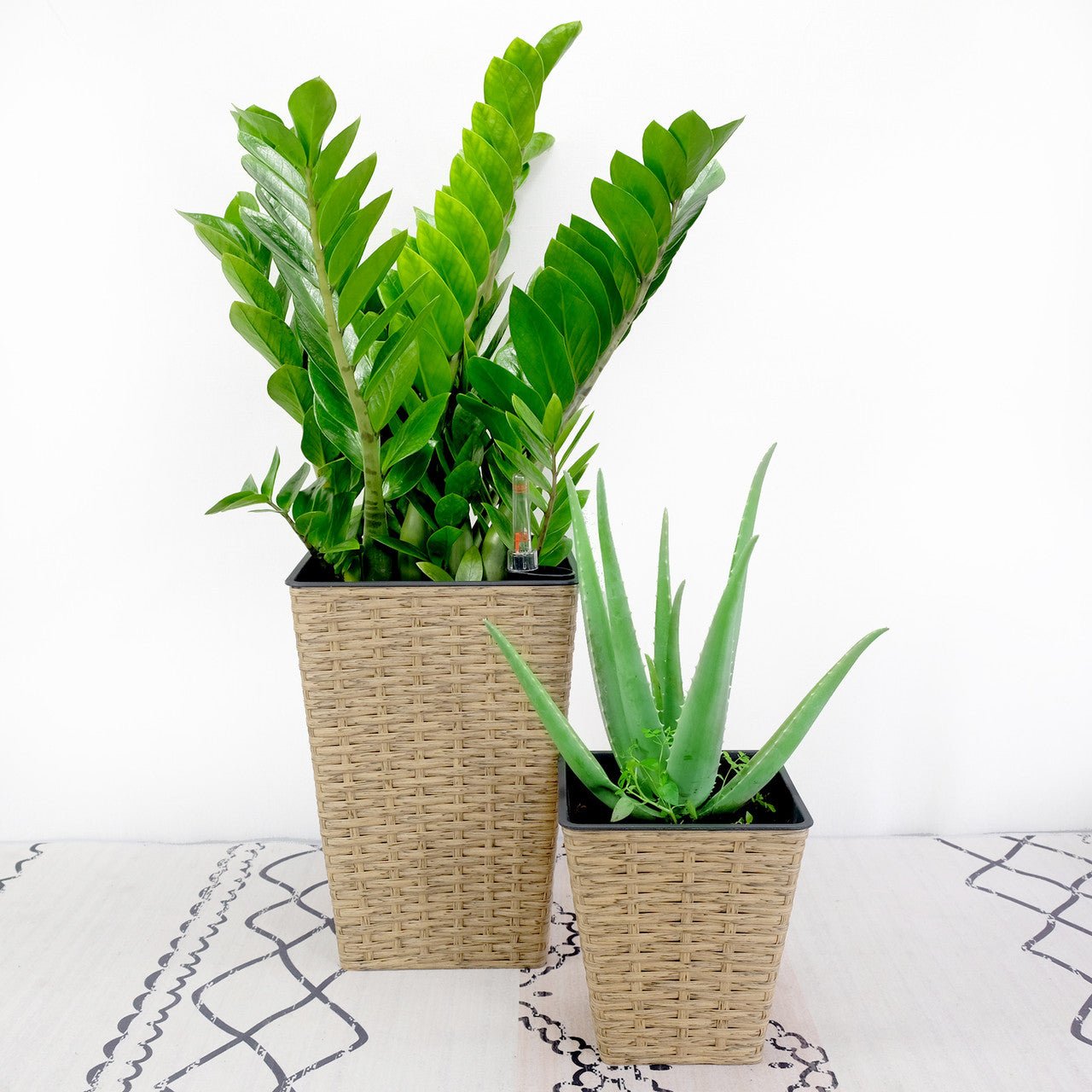 Set of 2 CATLEZA 7-inch and 9.4-inch Square Wicker Planters