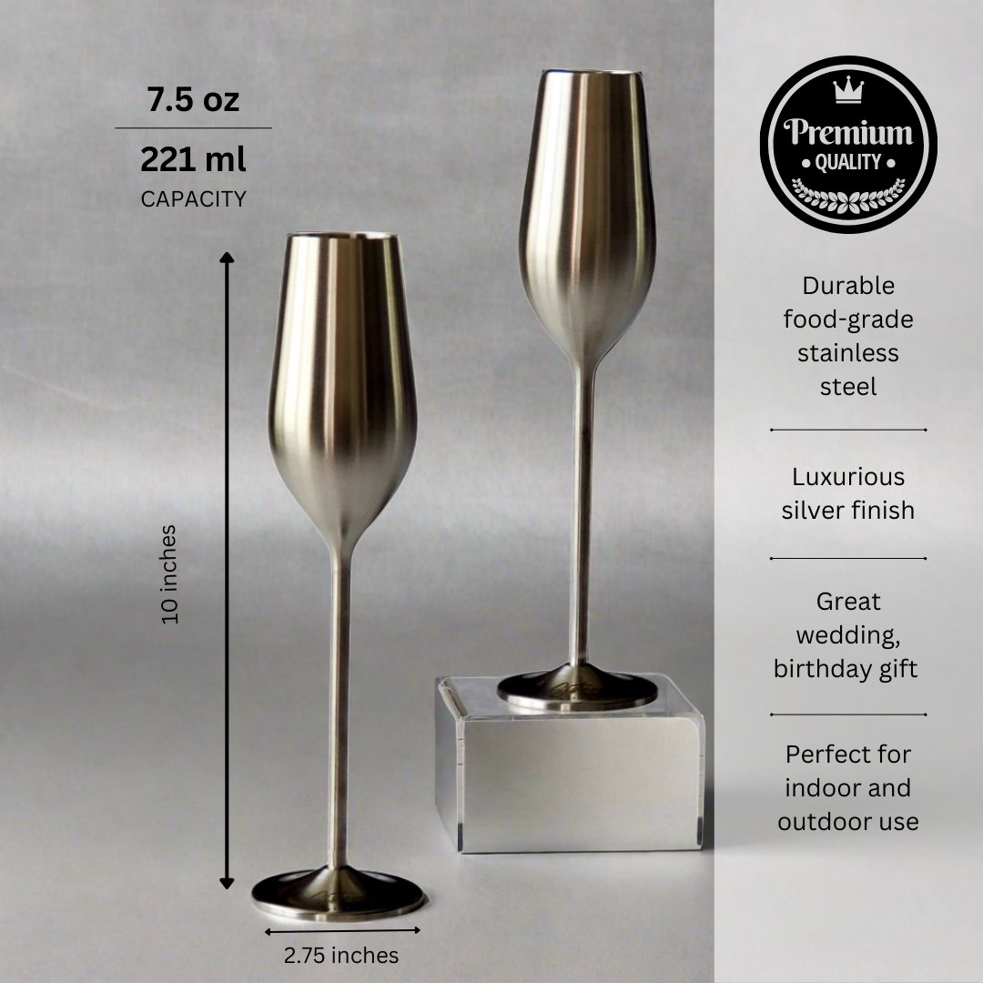 Silver Unbreakable Stainless Steel Champagne Flutes, Set of 2