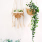 Plant Hanger - Bitan