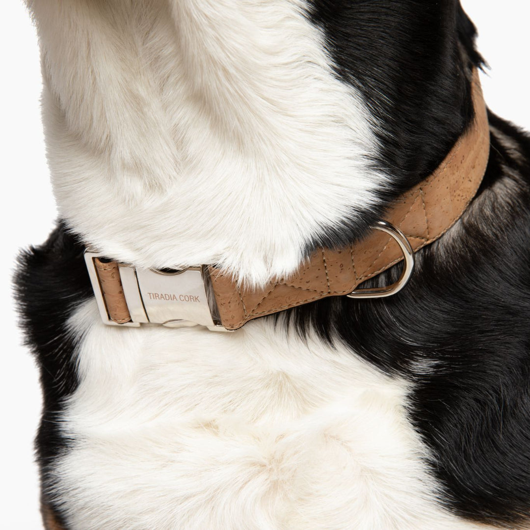 Vegan Dog Collar (Large Breeds)