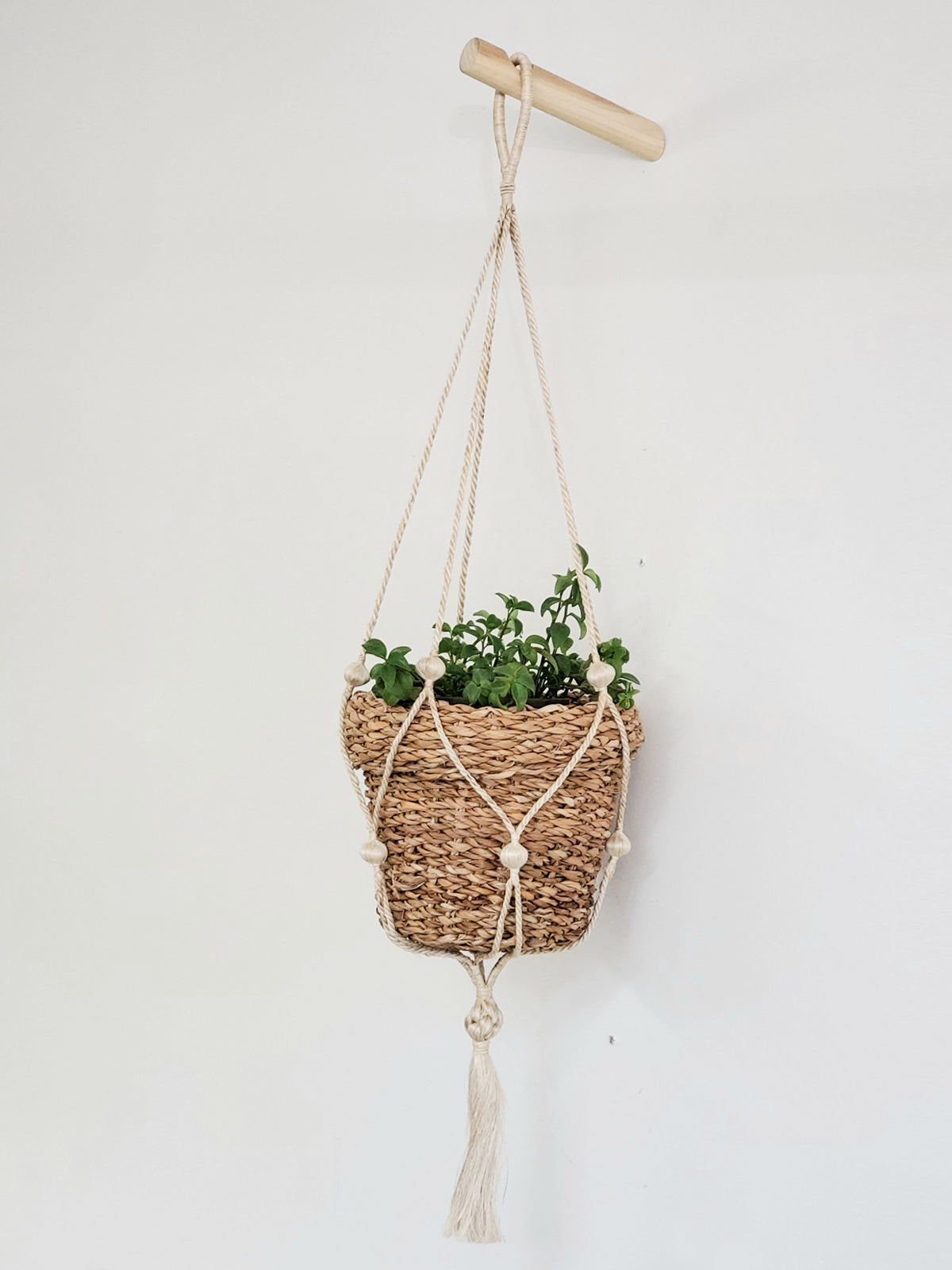 Savar Nesting Plant Basket