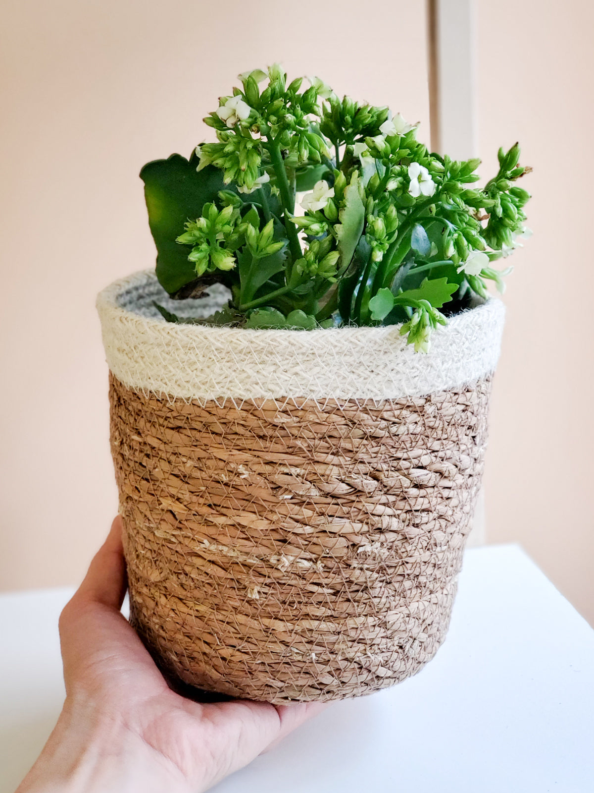 Savar Plant Basket