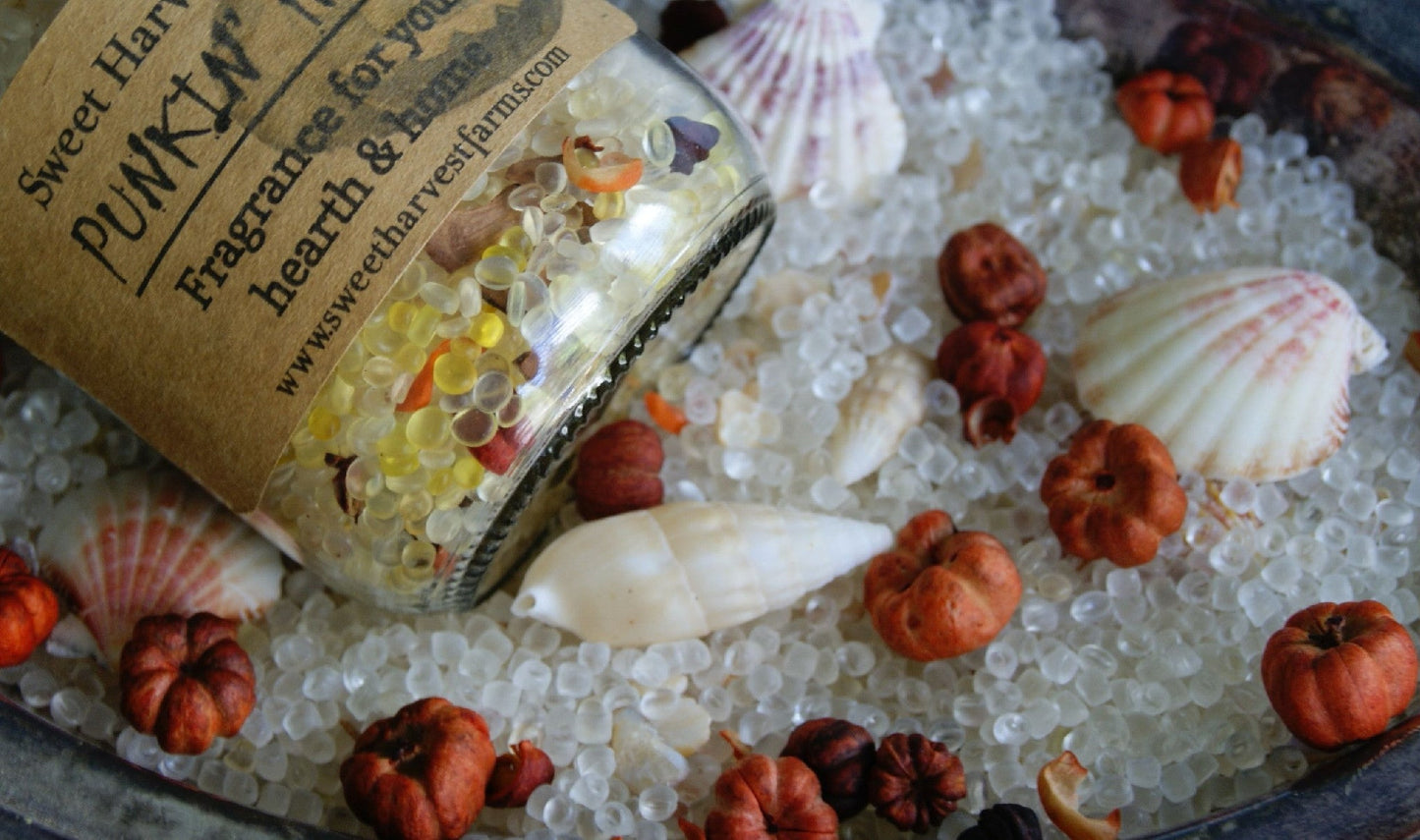 Punkin' Head Aroma Beads Potpourri - This jar of beads will last forever!