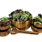 Dragor 7 Piece - Extra Large Salad Bowl with Servers and 4 Individuals