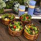 Skagen Individual Salad Bowl x 4