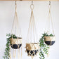 Plant Hanger - Bitan