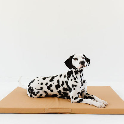 Sand | Dog Bed Cover