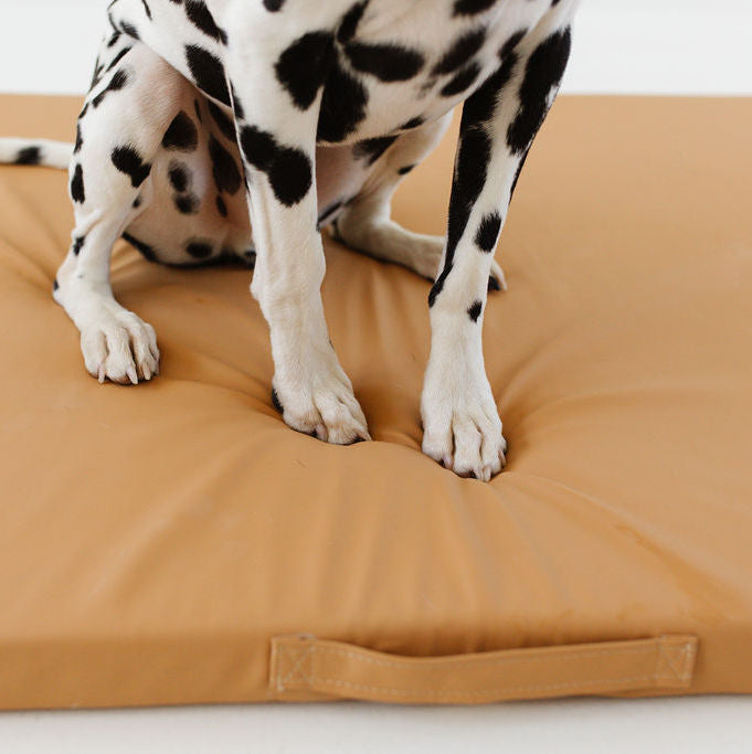 Sand | Dog Bed Cover
